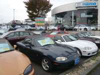shop_photo1
