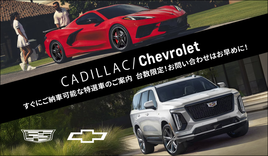 キャデラックフルタワー グレー 新品 割引可能 aoi キャデラック